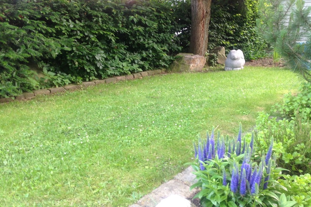 206338 - Niet-getagd