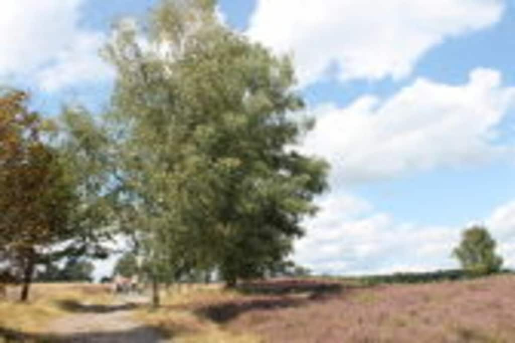 627220 - Niet-getagd