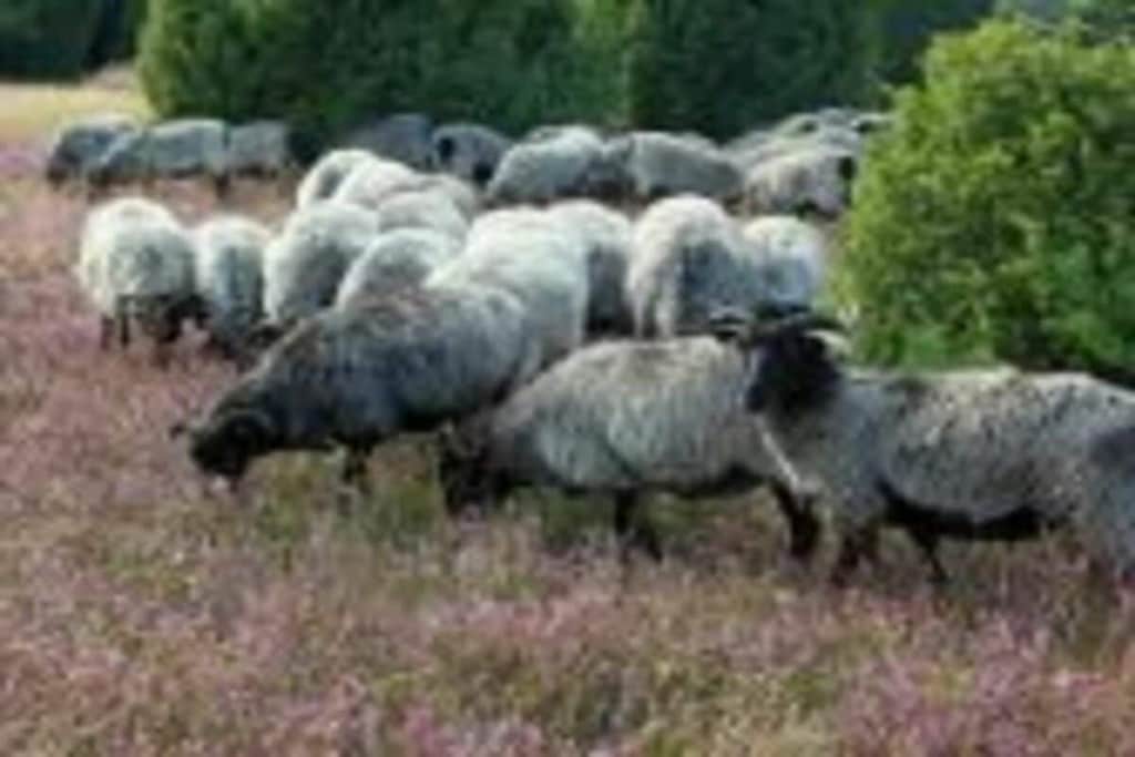627220 - Niet-getagd