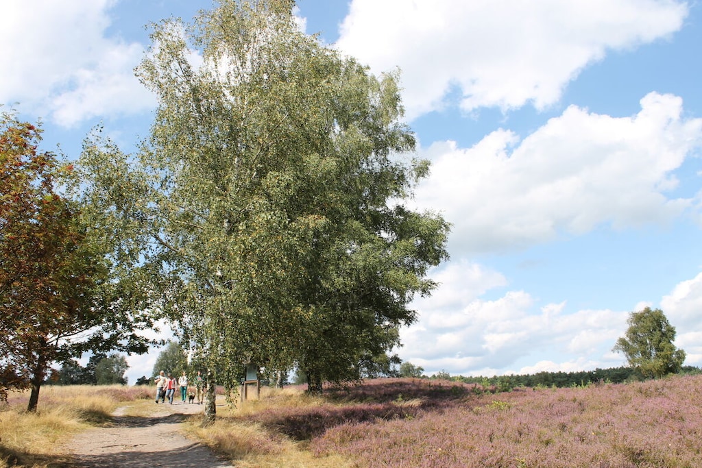 266854 - Niet-getagd