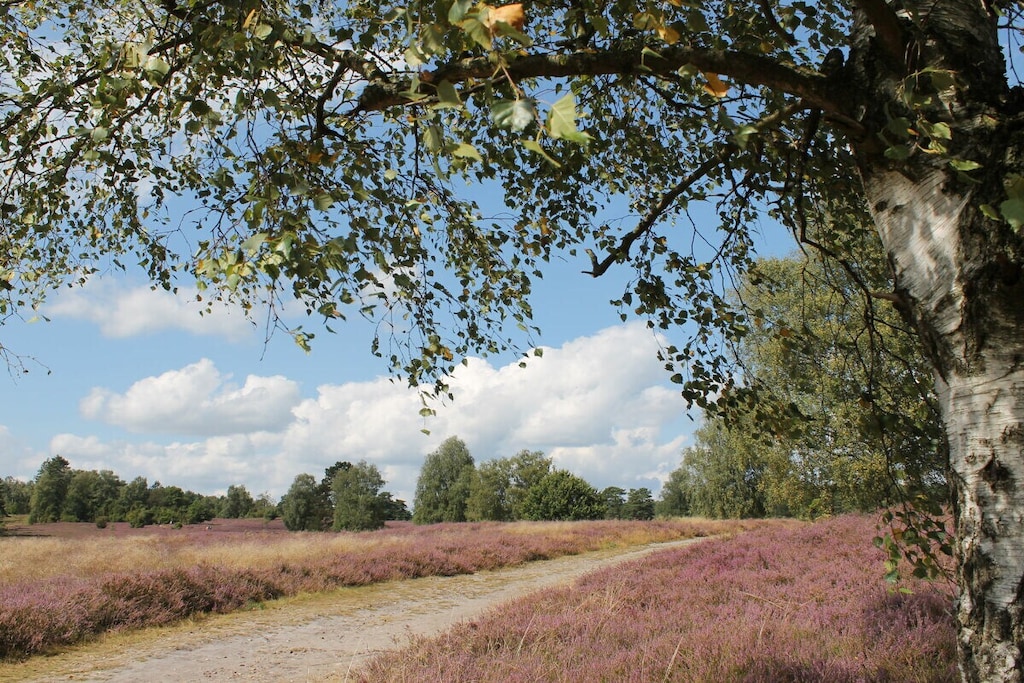 210006 - Niet-getagd