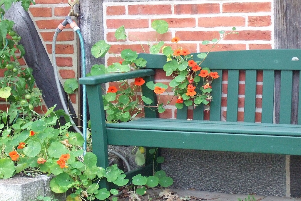 133014 - Niet-getagd