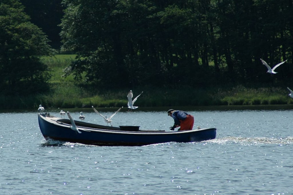 57043 - Niet-getagd