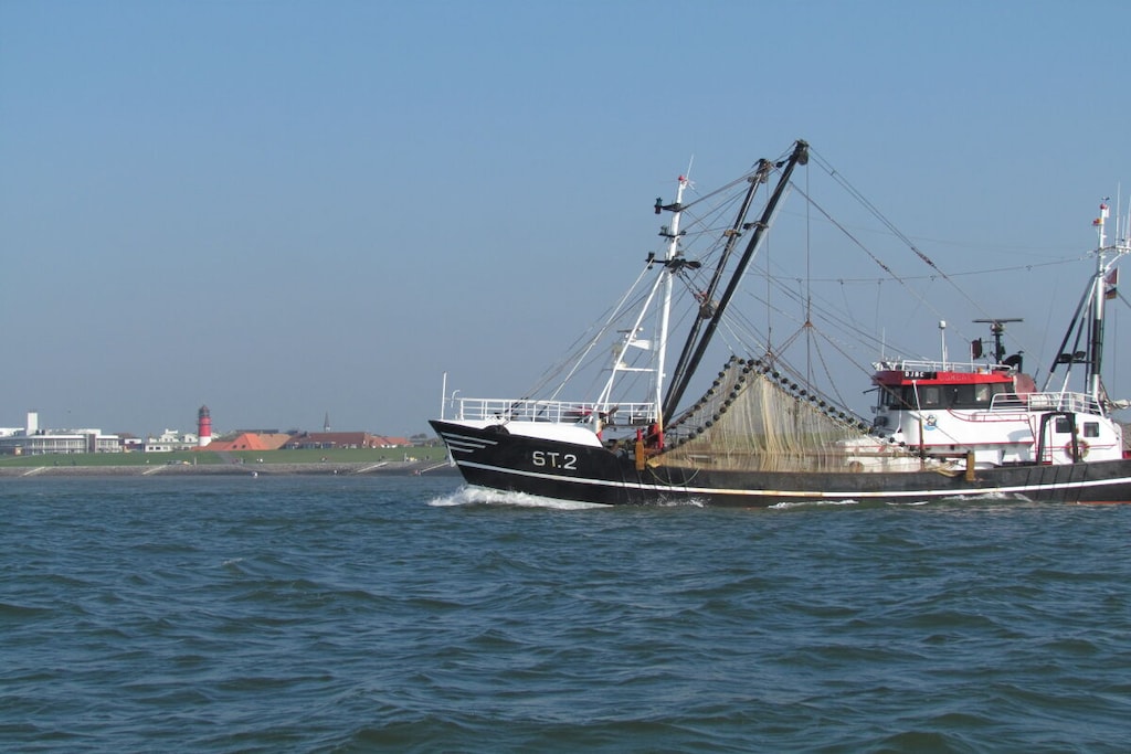 270646 - Niet-getagd