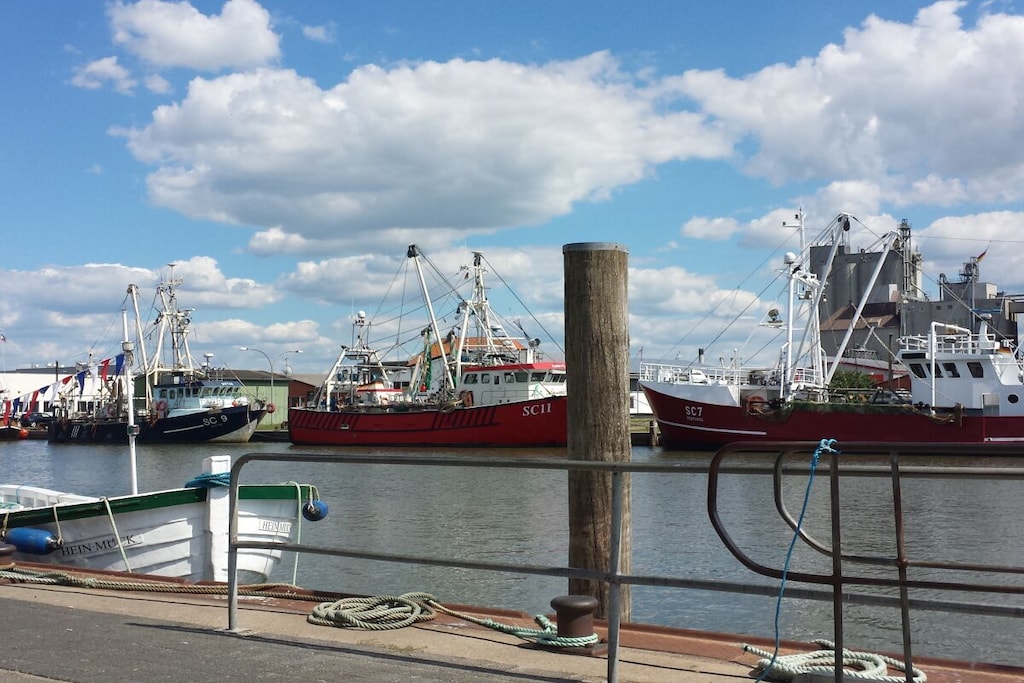 275056 - Niet-getagd