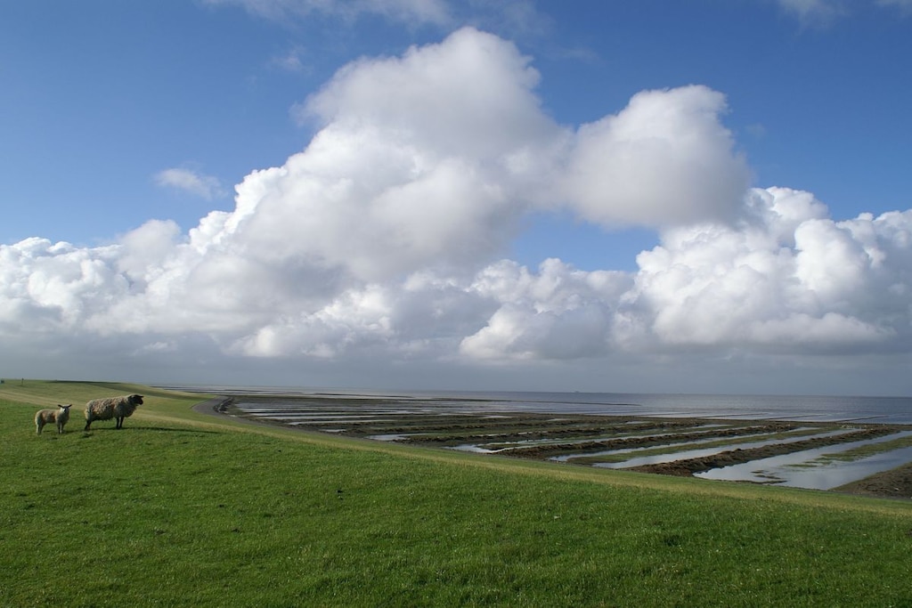 256494 - Niet-getagd