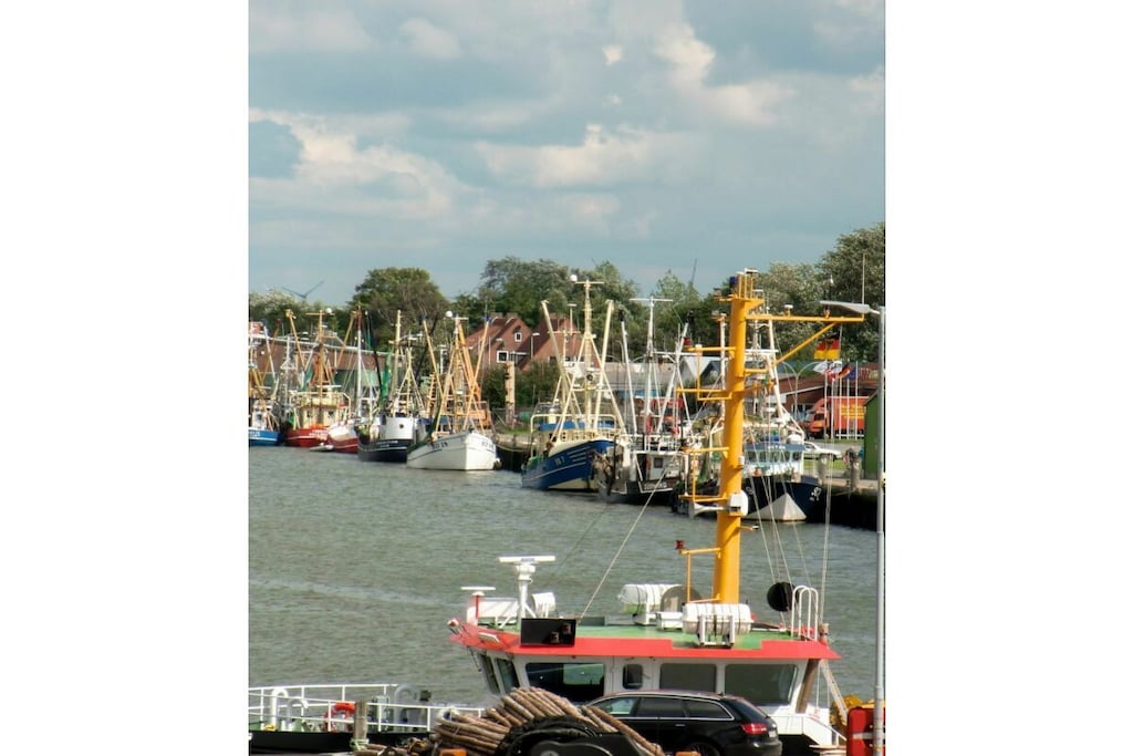 452006 - Niet-getagd