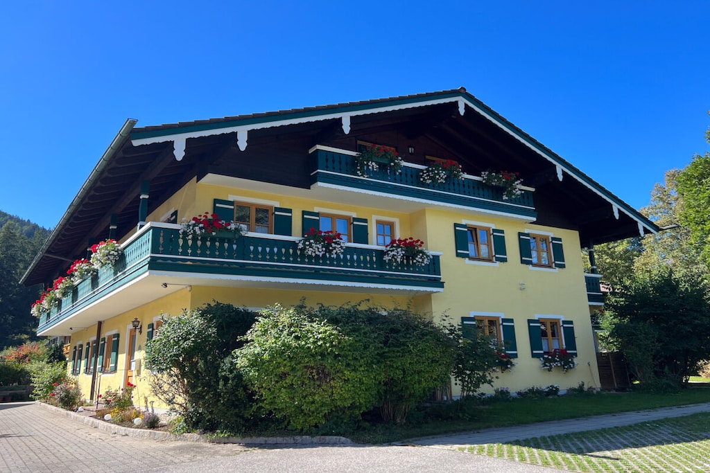 65551