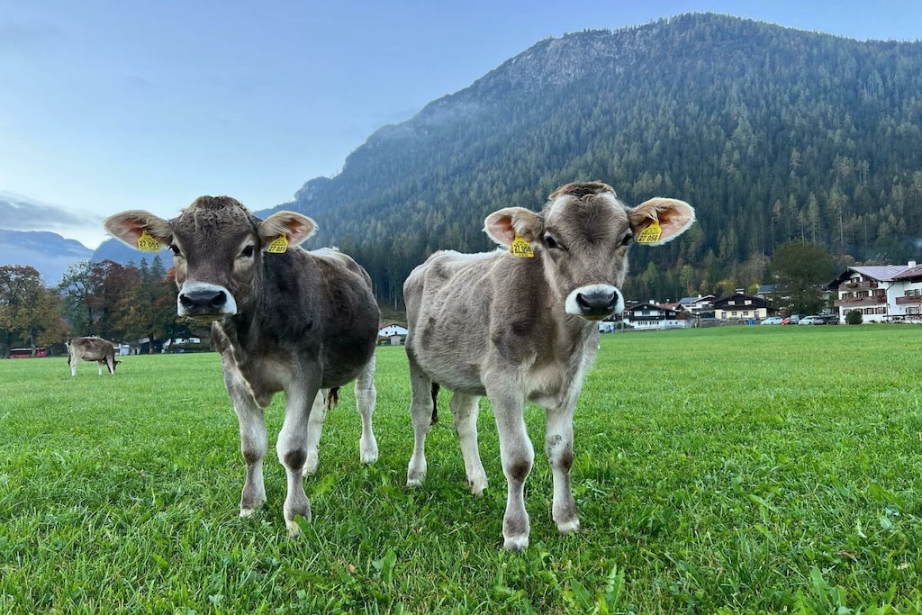 65552 - Nicht zugeordnet