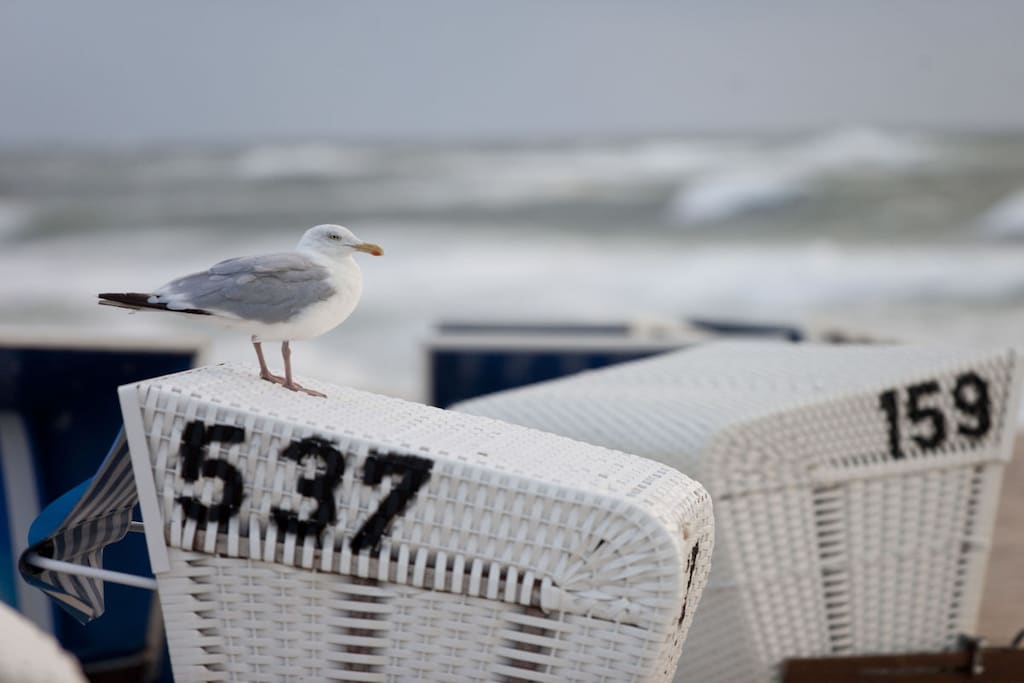 229535 - Niet-getagd