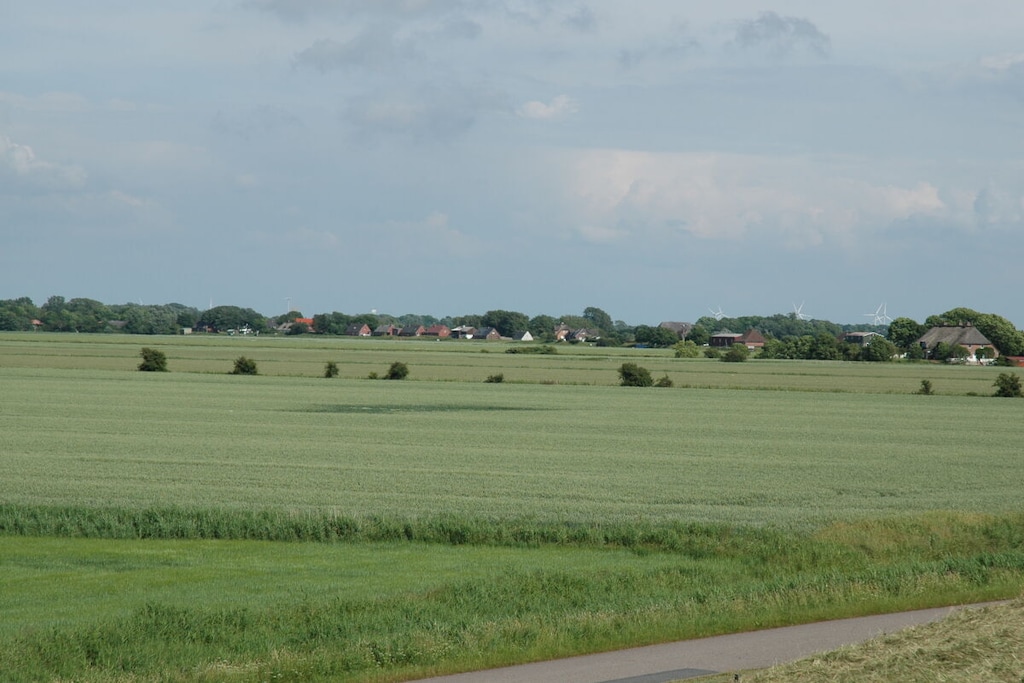 314094 - Niet-getagd