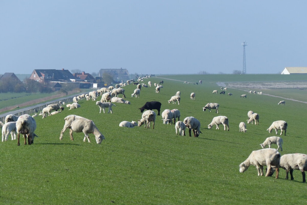 314094 - Niet-getagd