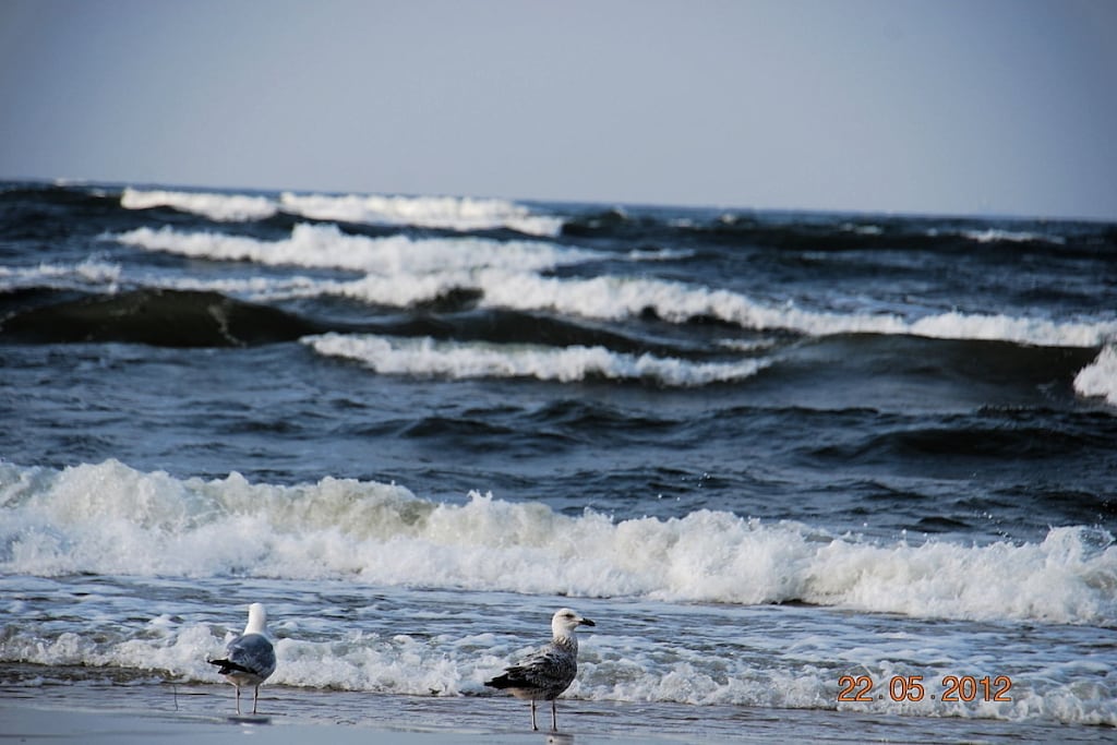70344 - Niet-getagd