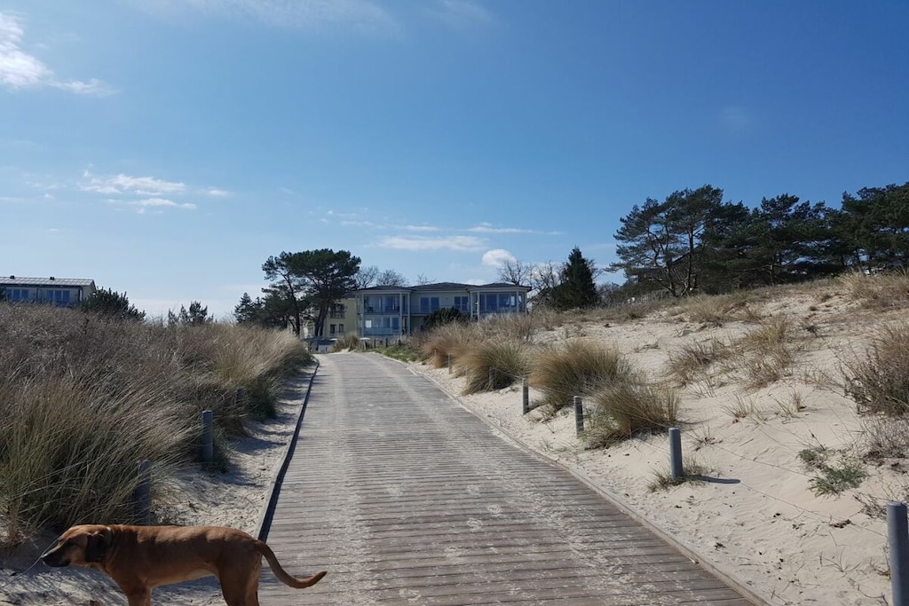 70377 - Niet-getagd