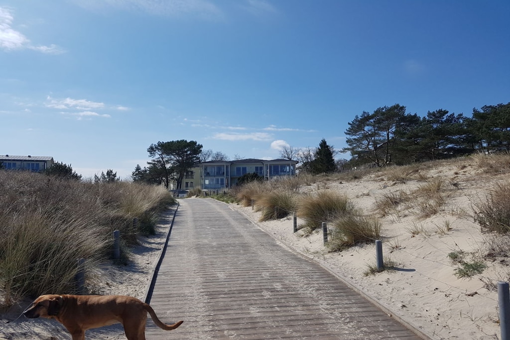 95446 - Niet-getagd