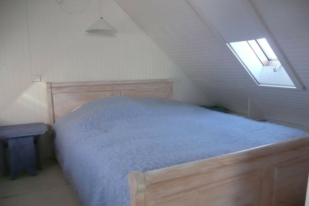 381393 - Niet-getagd
