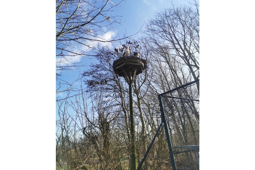 220544 - Niet-getagd