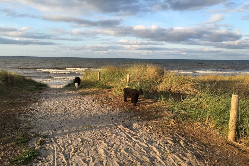 293772 - Niet-getagd