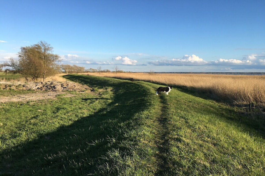 293934 - Niet-getagd