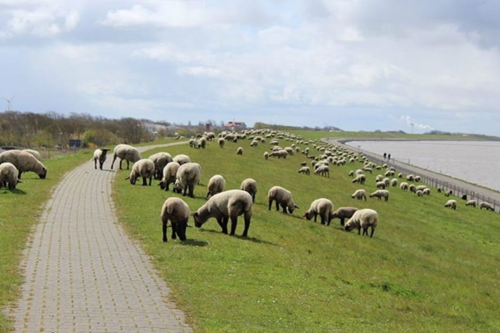 219702 - Niet-getagd