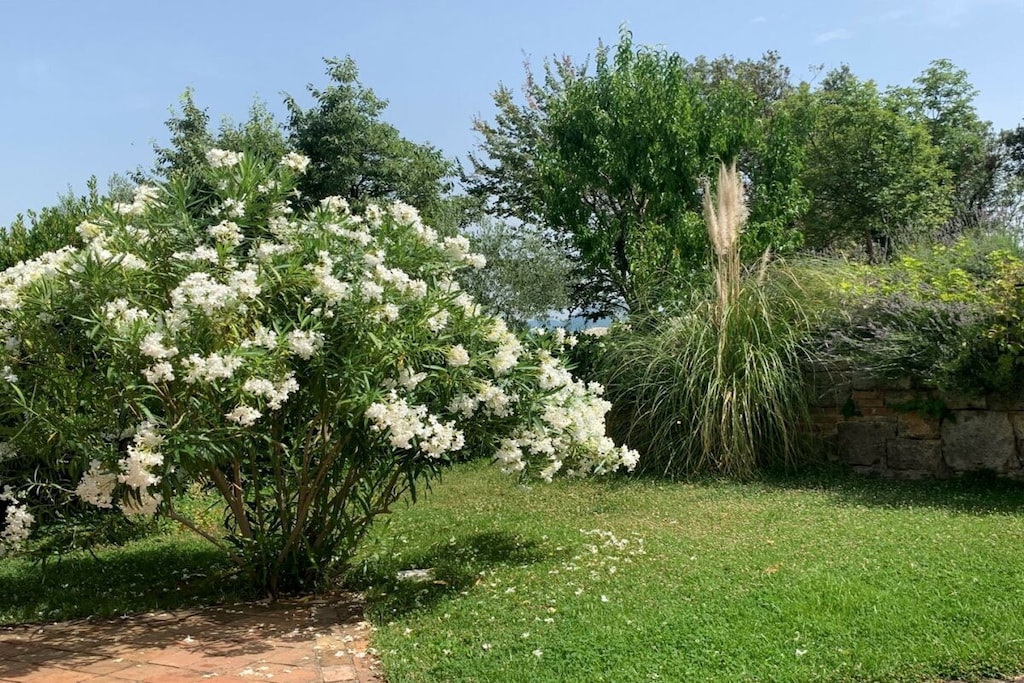 475489 - Non tagué