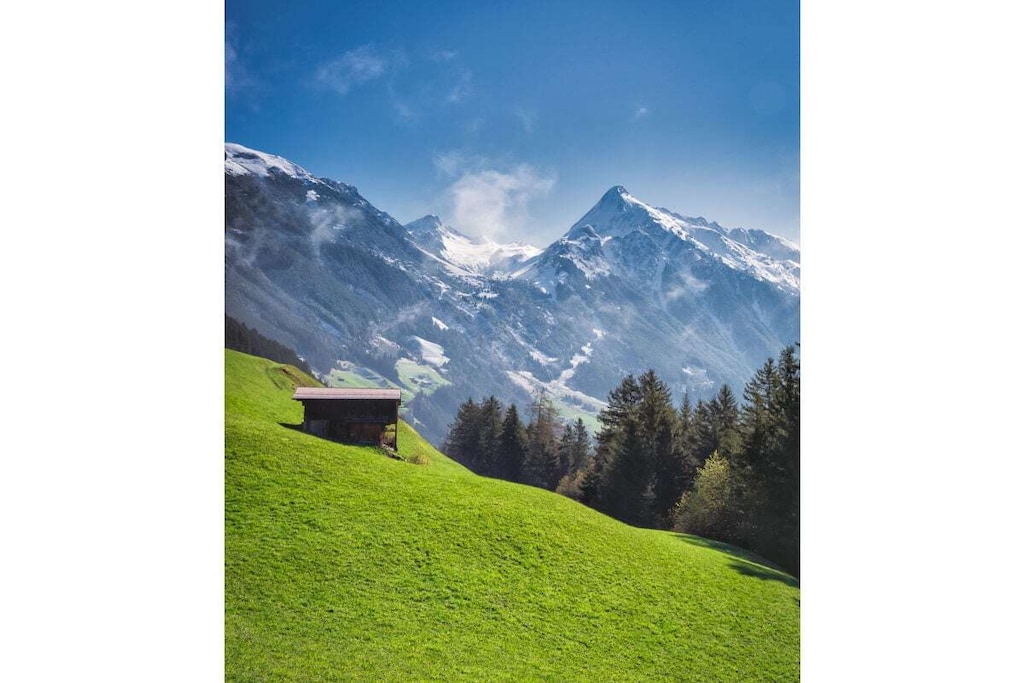 237392 - Nicht zugeordnet