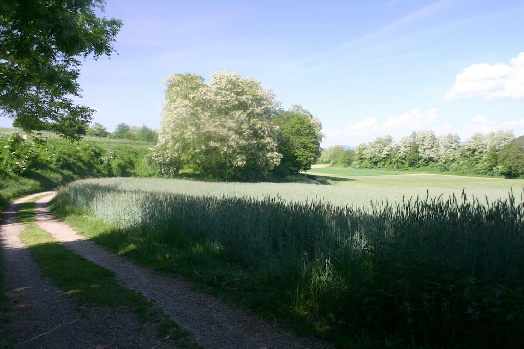 411225 - Niet-getagd
