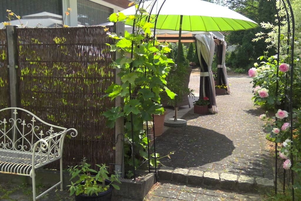 30173 - Niet-getagd