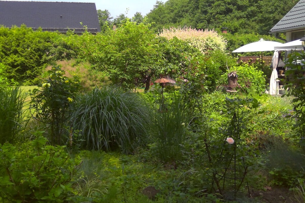 30173 - Niet-getagd