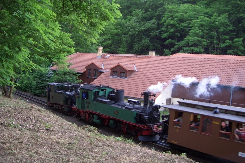 86142