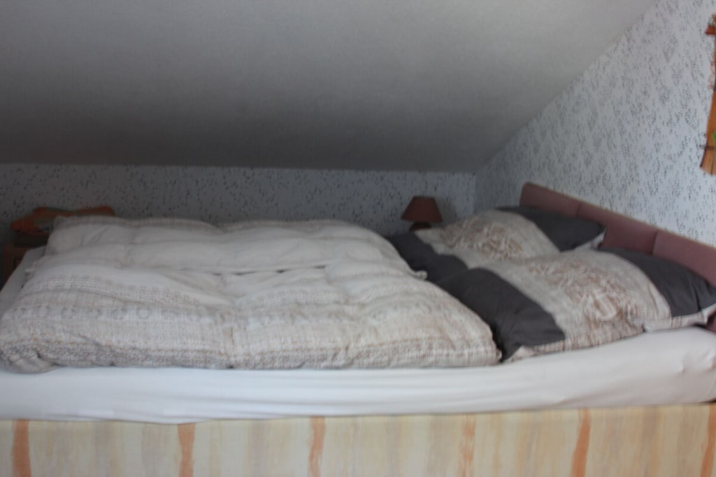 42153 - Niet-getagd