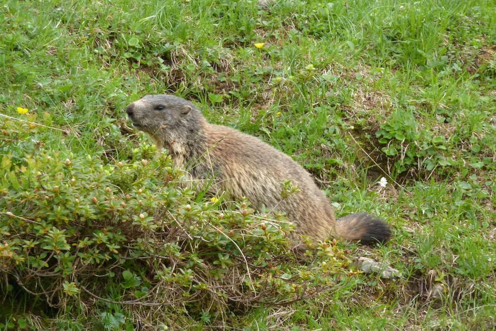 72808 - Untagged