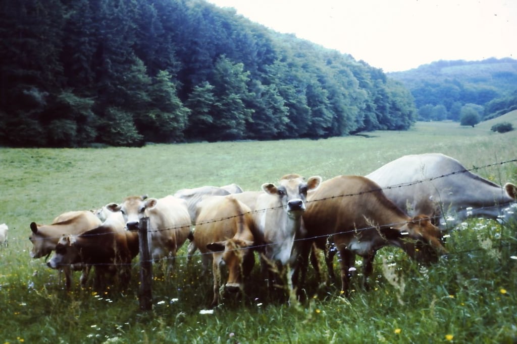 31142 - Nicht zugeordnet