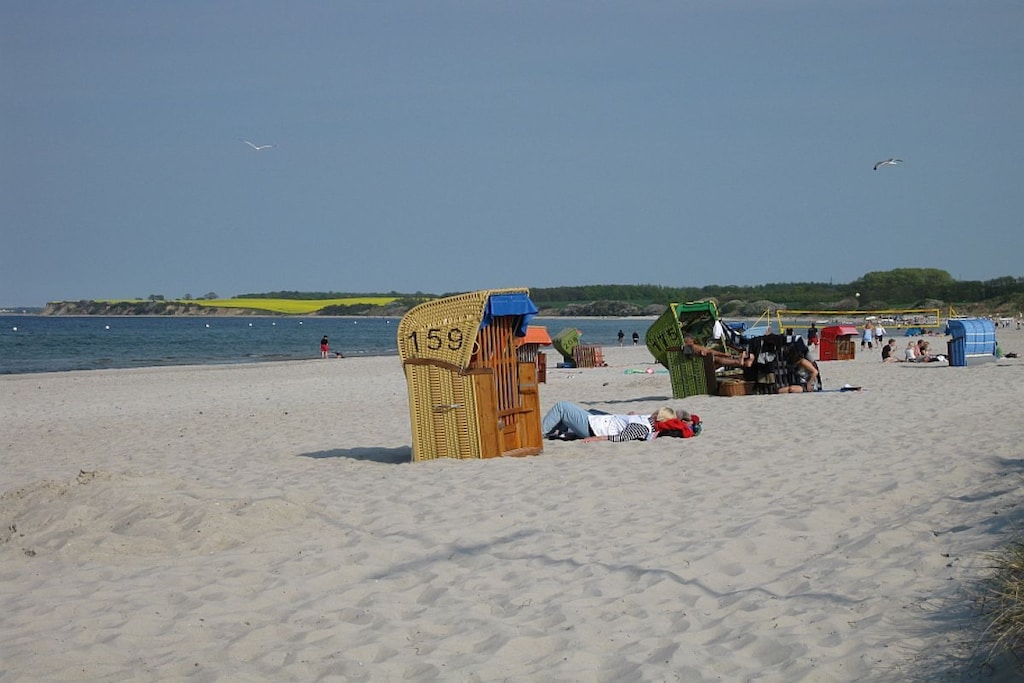44694 - Niet-getagd