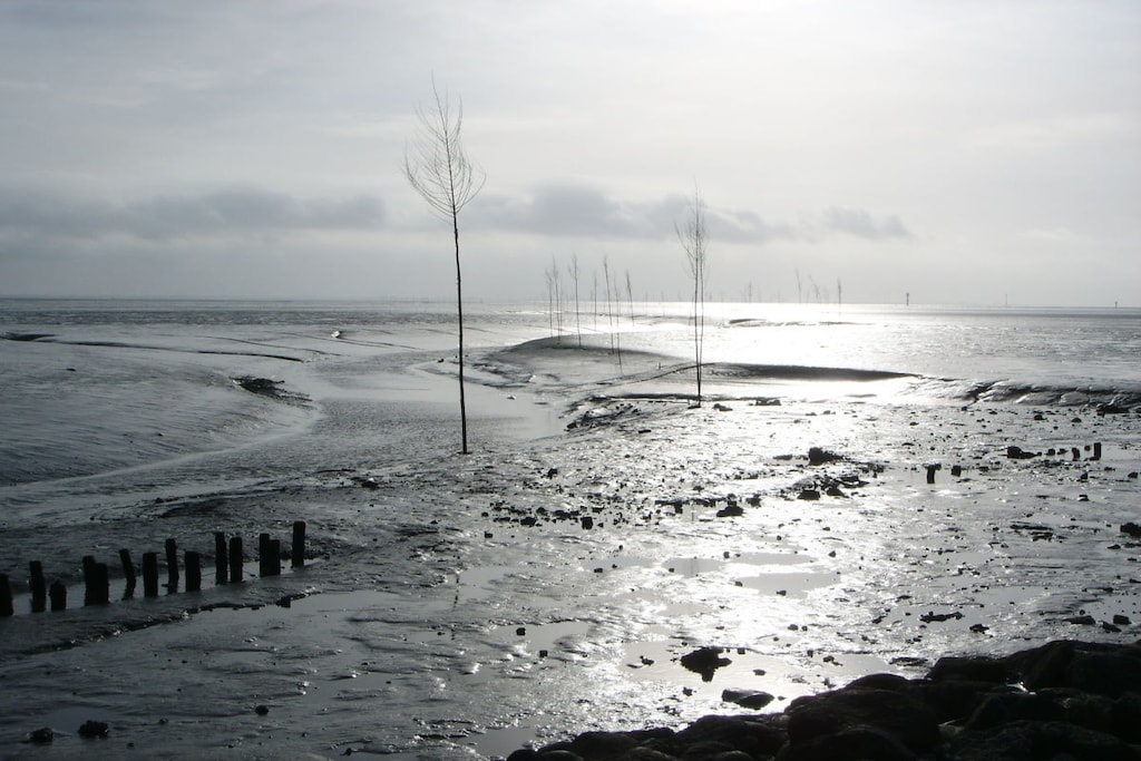 1570 - Niet-getagd