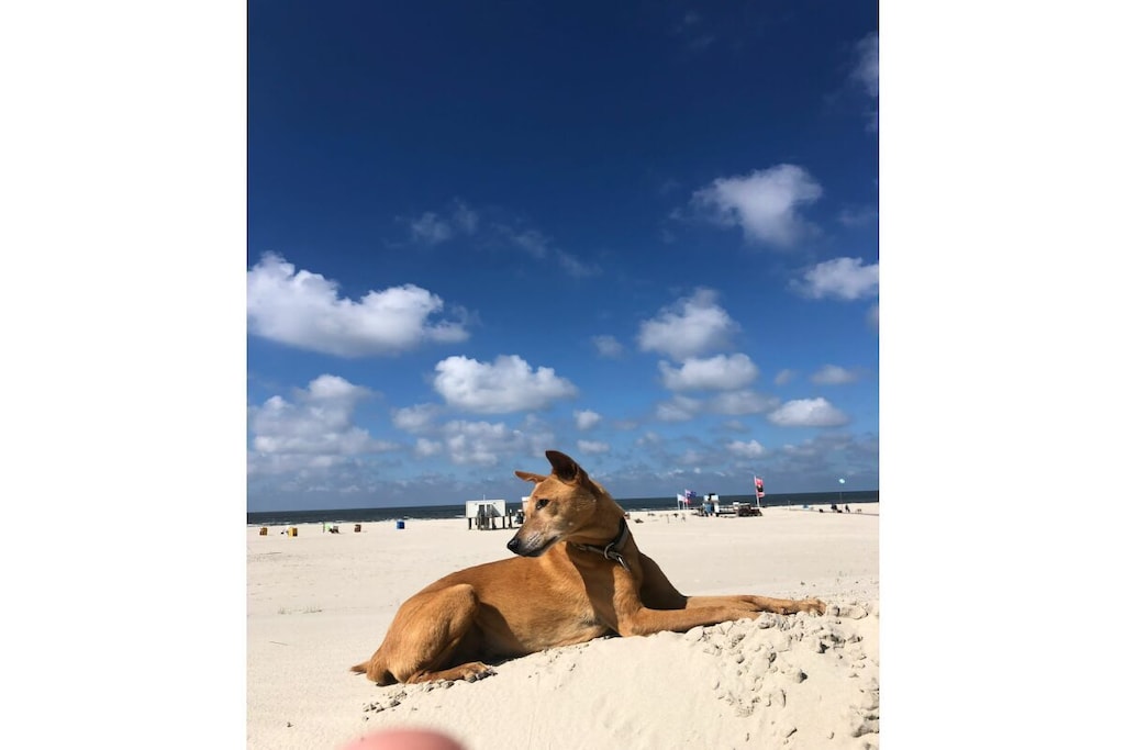 457763 - Niet-getagd