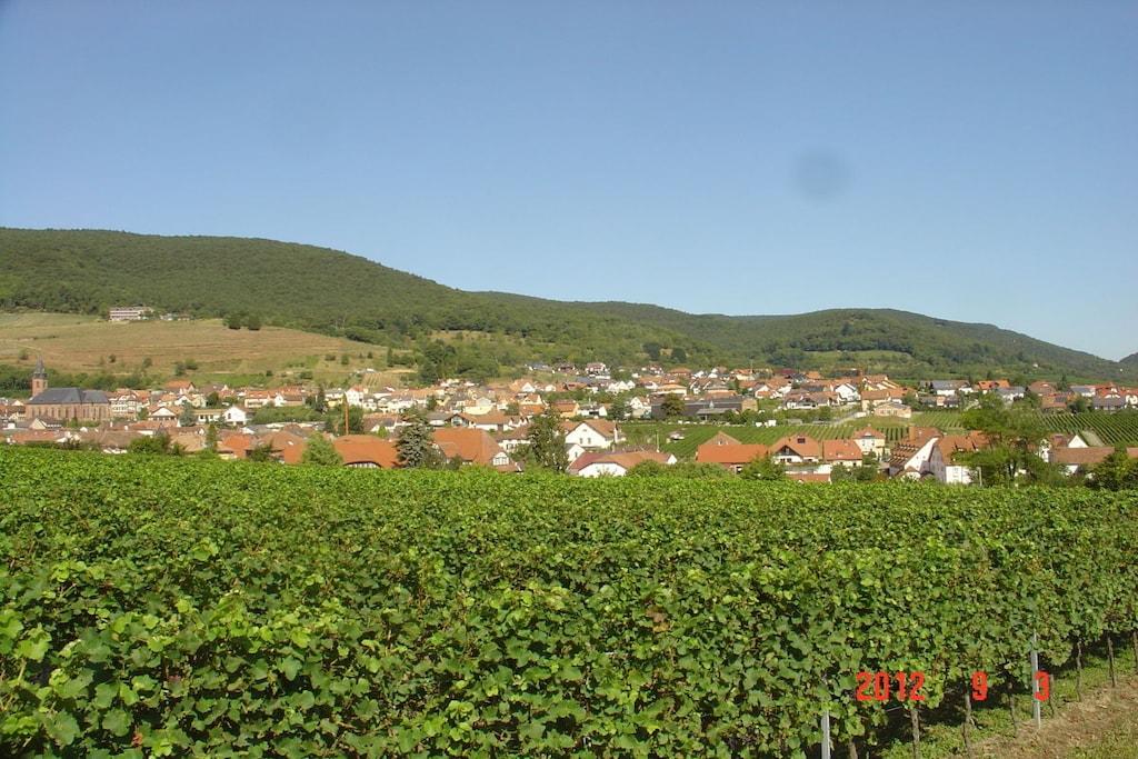141027 - Nicht zugeordnet