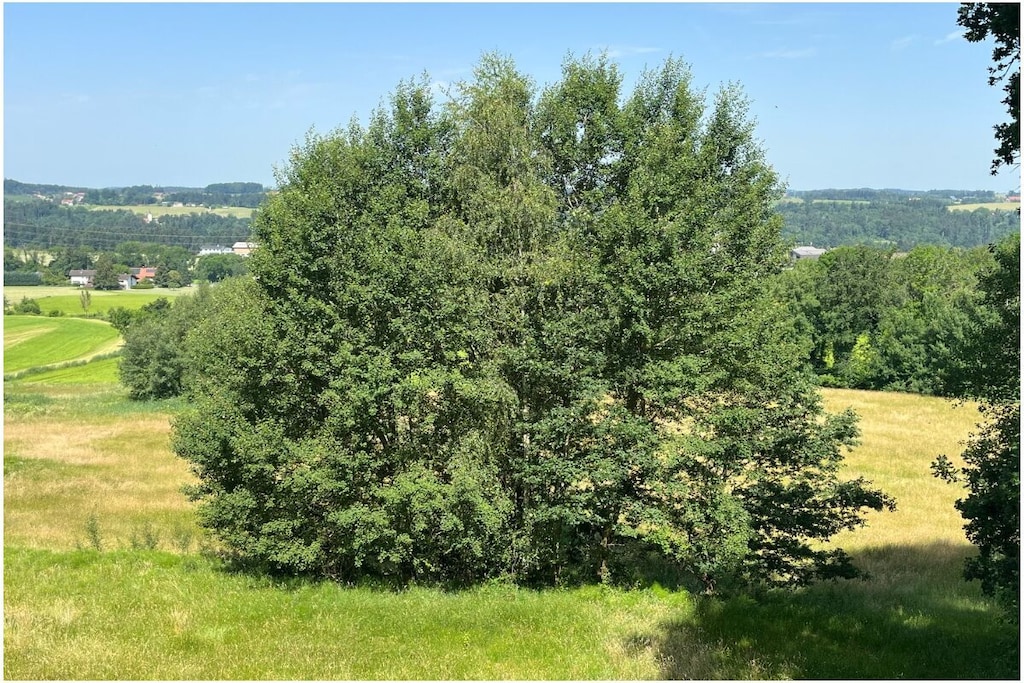 517359 - Nicht zugeordnet