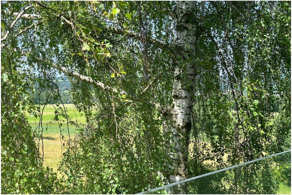 517359 - Nicht zugeordnet