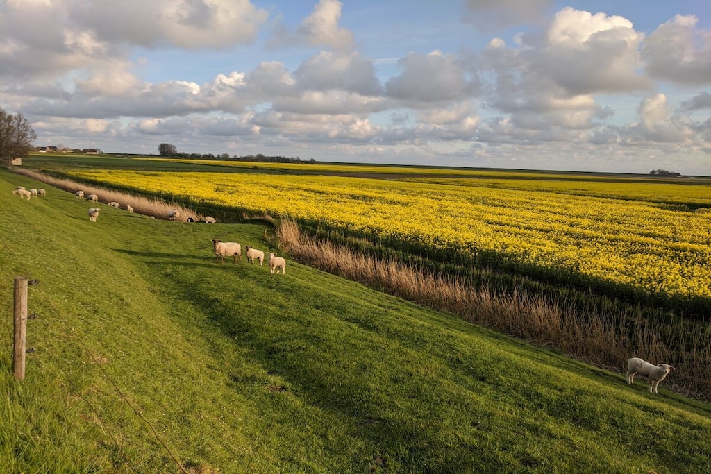96861 - Niet-getagd