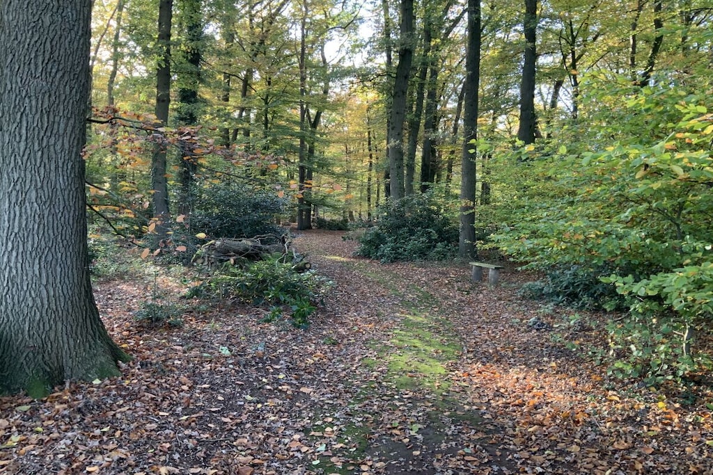 71837 - Niet-getagd