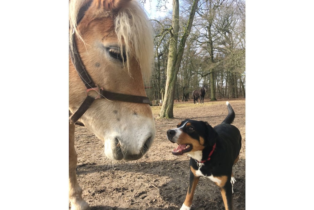 71837 - Niet-getagd