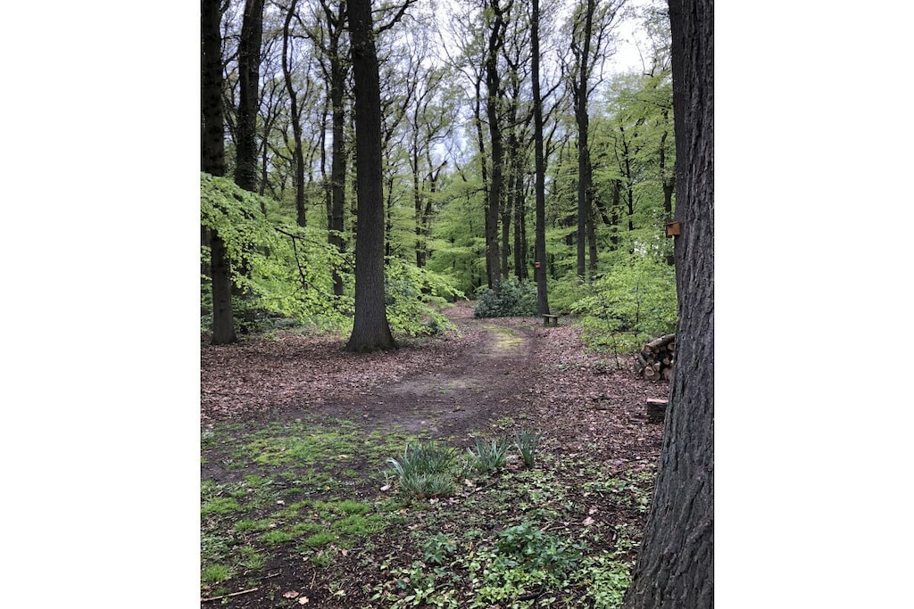 71837 - Niet-getagd