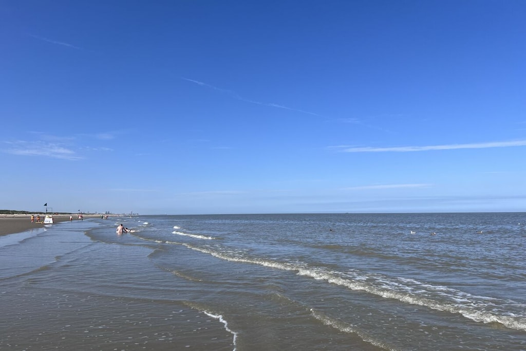 540037 - Niet-getagd