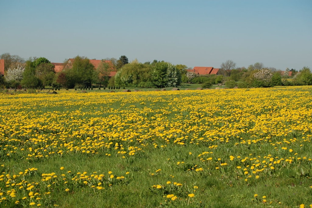 66070 - Niet-getagd