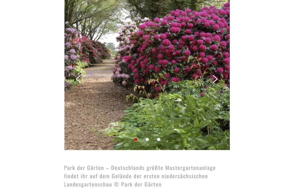 499026 - Niet-getagd