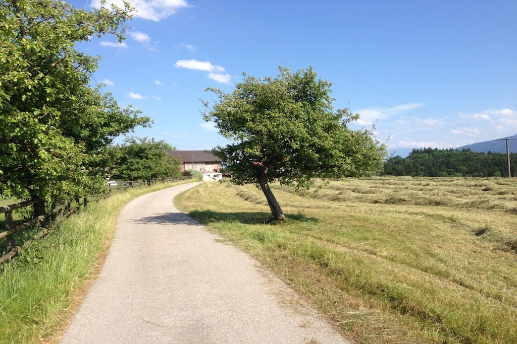 278623 - Niet-getagd