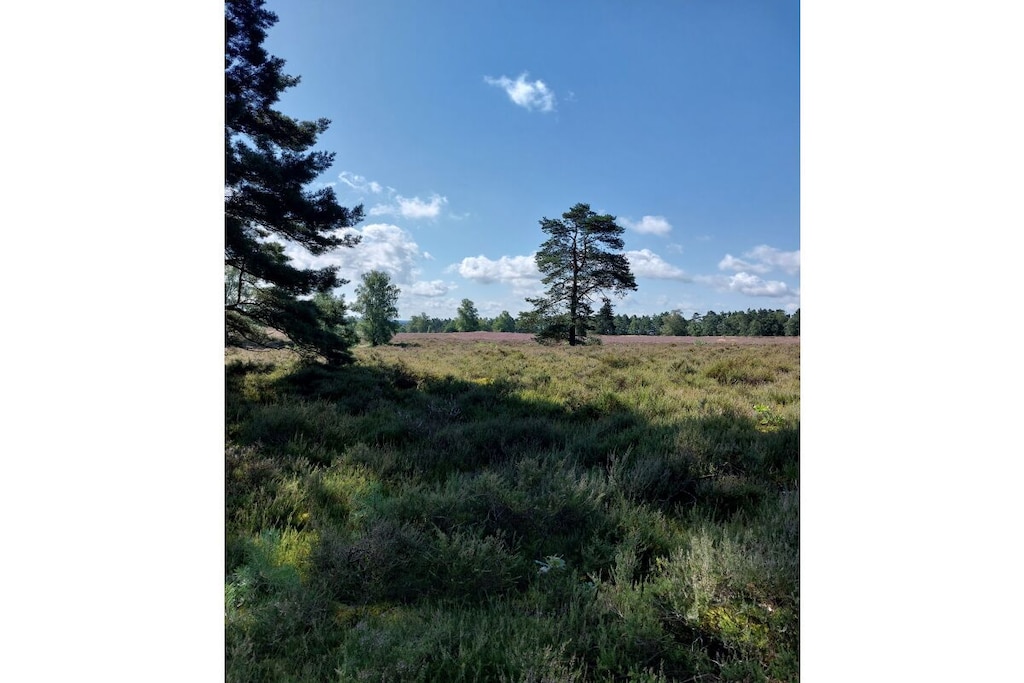 275879 - Niet-getagd