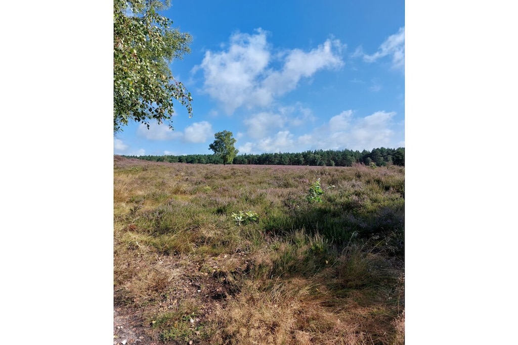 275879 - Niet-getagd