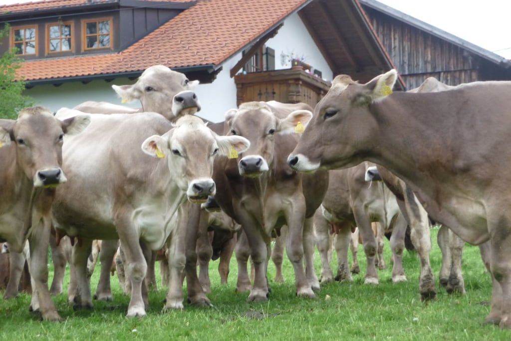 37558 - Niet-getagd